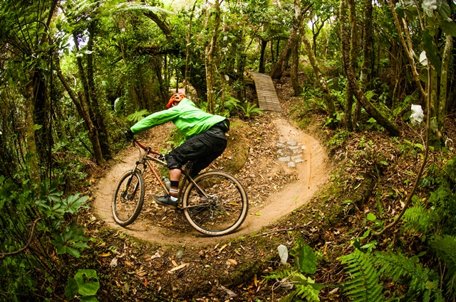 Mountain Biking in Wellington New Zealand Mountain Biking